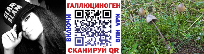 Галлюциногенные грибы прущие грибы  Стрежевой 